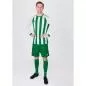 Preview: Jako Children Jersey Inter L/S - white/sport green