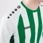 Preview: Jako Children Jersey Inter L/S - white/sport green