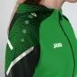 Preview: Jako Hooded Jacket Performance - soft green/black