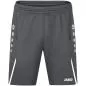 Preview: Jako Training Shorts Challenge - anthra light/white