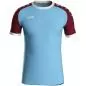 Preview: Jako Children Jersey Iconic S/S - light blue/wine red