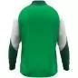 Preview: Jako Children Zip top Dynamic - green/white/dark green