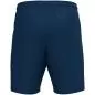 Preview: Jako Training shorts One - navy