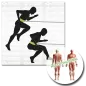 Preview: Schildkröt Speed Trainer Pro