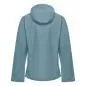 Preview: Salewa Puez 2.5L Ptx Jacket M - willow green