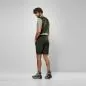 Preview: Salewa Puez 4 Shorts M - dark olive