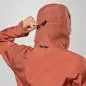 Preview: Salewa Puez Gtx 3L Epe Jacket W - etruscan red
