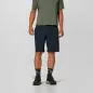 Preview: Salewa Pedroc 4 Dst Cargo Short M - blueberry