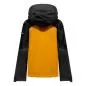 Preview: Salewa Ortles Gtx Pro Jacket W - gold