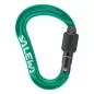 Preview: Salewa Ortles Hms S Carabiner - irish green