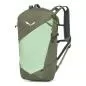Preview: Salewa Pedroc Core 20L W - faded green