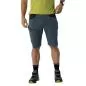 Preview: Dynafit Transalper Dynastretch Shorts Herren - cinder