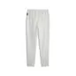Preview: Puma Hoops Team Dime Pant - light gray heather