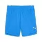 Preview: Puma teamJAWS Starter Shorts Jr - electro royal