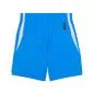 Preview: Puma teamJAWS Starter Shorts W - electro royal