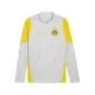 Preview: Puma BVB Training 1/4 Zip Top - silver mist