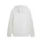 Preview: Puma BVB PUMATECH FZ Hoodie - silver mist