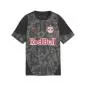 Preview: Puma RBS Training Jersey Jr - flat dark gray