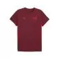Preview: Puma RBS EVOSTRIPE Tee - team regal red