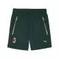 Preview: Puma ACM PUMATECH Relaxed Woven Shorts - dark myrtle