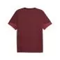 Preview: Puma GSK Training Jersey - team regal red