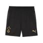 Preview: Puma GSK Training Shorts w/ pockets - puma black