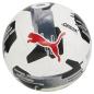 Preview: Puma Orbita 2 TB (FIFA Quality Pro) - puma white