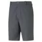 Preview: Puma Dealer Short 10" - strong gray
