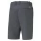 Preview: Puma Dealer Short 10" - strong gray
