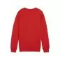 Preview: Puma teamGOAL Casuals Crew Neck Sweat Jr - puma red