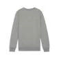 Preview: Puma teamGOAL Casuals Crew Neck Sweat Jr - medium gray heather