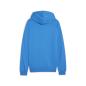 Preview: Puma teamGOAL Casuals Hooded Jacket - ignite blue
