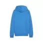 Preview: Puma teamGOAL Casuals Hooded Jacket - ignite blue