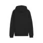 Preview: Puma teamGOAL Casuals Hooded Jacket - puma black