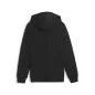 Preview: Puma teamGOAL Casuals Hooded Jacket Jr - puma black