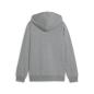 Preview: Puma teamGOAL Casuals Hooded Jacket Jr - medium gray heather