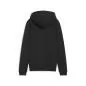 Preview: Puma teamGOAL Casuals Hooded Jacket Wmn - puma black