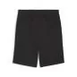 Preview: Puma teamGOAL Casuals Shorts - puma black
