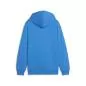 Preview: Puma teamGOAL Casuals Hoody Jr - ignite blue