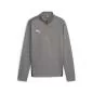 Preview: Puma teamGOAL Training 1/4 Zip Top Jr - cast iron