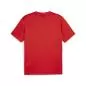 Preview: Puma teamGOAL Jersey - puma red