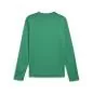 Preview: Puma teamGOAL Training Sweat - sport green