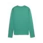 Preview: Puma teamGOAL Training Sweat Wmn - sport green