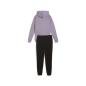 Preview: Puma Classic Hooded Tracksuit FL - pale plum