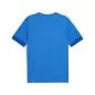 Preview: Puma teamGOAL Matchday Jersey - electric blue lemonade