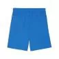 Preview: Puma teamGOAL Shorts - electric blue lemonade