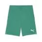 Preview: Puma teamGOAL Shorts - sport green