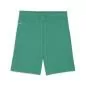 Preview: Puma teamGOAL Shorts - sport green