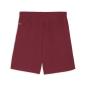Preview: Puma teamGOAL Shorts - team regal red