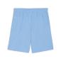 Preview: Puma teamGOAL Shorts - team light blue